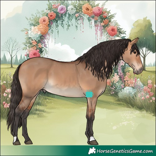 Horse Color:Bay Dun