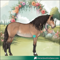 Horse Color:Bay Dun