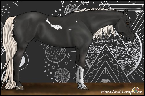 Horse Color:Liver Chestnut Mushroom Tobiano 