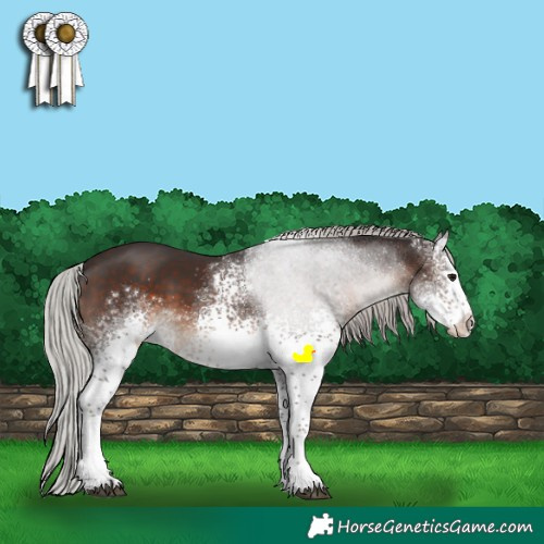 Horse Color:White Spotted Silver Brown Sabino 