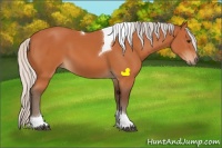 Horse Color:Silver Bay Tobiano