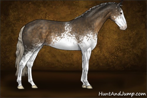 Horse Color:White Spotted Chocolate Palomino Sabino 