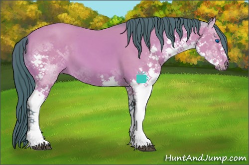 Horse Color:Watercolor White Spotted Buckskin Splash 