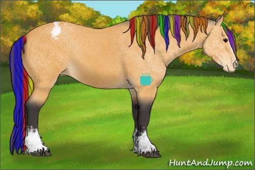 Horse Color:Painted White Spotted Buckskin Appaloosa 