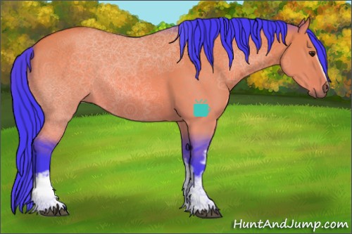 Horse Color:Watercolor White Spotted Buckskin Dun 