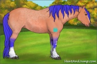 Horse Color:Watercolor White Spotted Buckskin Dun 