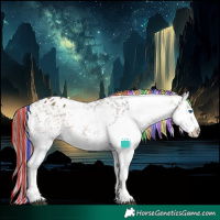Horse Color:Painted Bay Sabino Splash Appaloosa and Painted Bay Sabino Splash Appaloosa