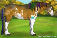 Horse Color:Painted White Spotted Brown Splash 