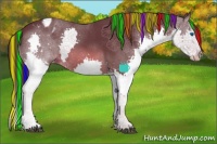 Horse Color:Painted Liver Chestnut Sabino Splash Blanket 