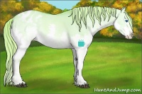 Horse Color:Watercolor Red Dun Sabino Splash Appaloosa 