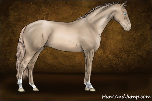 Horse Color:Chocolate Palomino Pearl