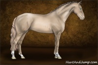 Horse Color:Chocolate Palomino Pearl 