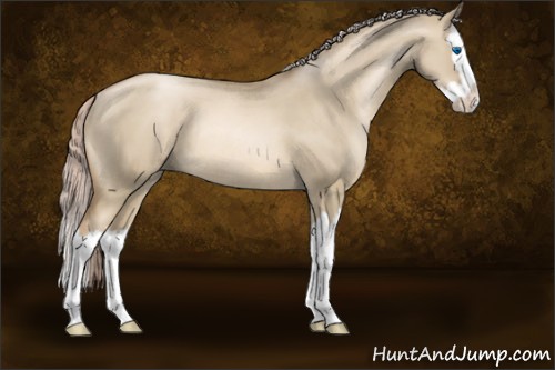 Horse Color:Chocolate Palomino Pearl Dun Sabino Splash Rabicano