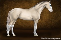 Horse Color:Chocolate Palomino Pearl Dun Sabino Splash Rabicano 