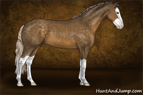 Horse Color:Chocolate Palomino Splash