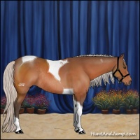 Horse Color:Silver Brown Tobiano Rabicano 