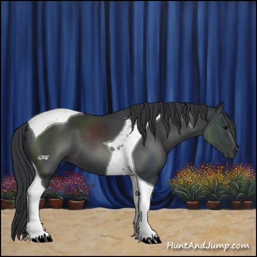 Horse Color:Black Tobiano 