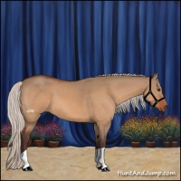 Horse Color:Silver Bay Dun 