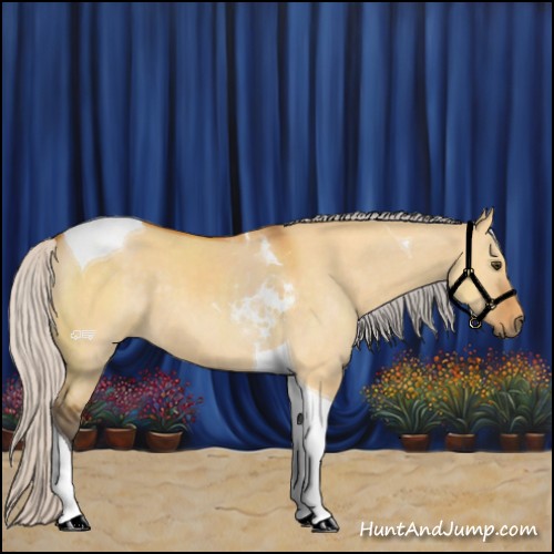 Horse Color:Silver Buckskin Dun Tobiano 