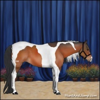 Horse Color:Brown Tobiano 
