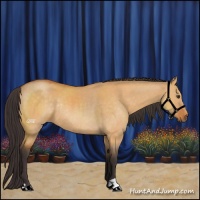 Horse Color:Buckskin Dun Rabicano 