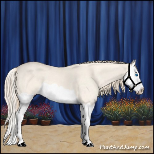 Horse Color:Perlino Dun Splash