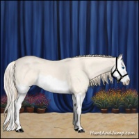 Horse Color:Perlino Dun Splash 