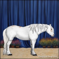 Horse Color:Silver Buckskin Sabino 