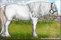 Horse Color:Gold Champagne Splash Snowflake Varnish