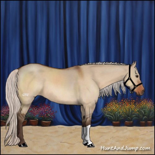 Horse Color:Silver Bay Dun