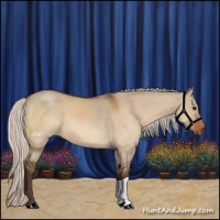 Horse Color:Silver Bay Dun 