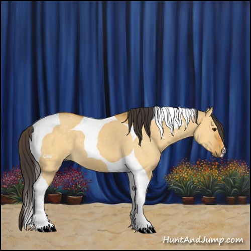 Horse Color:Buckskin Dun Tobiano