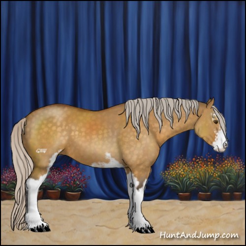 Horse Color:Silver Buckskin Dun Sabino 