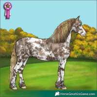 Horse Color:Painted White Spotted Chocolate Black Ice Pearl Sabino Splash 