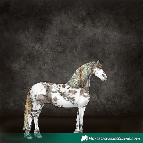 Horse Color:Painted Chocolate Blue Onyx Ice Pearl Splash Tobiano 