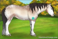 Horse Color:White Spotted Sable Champagne Ice Onyx Sabino Splash 