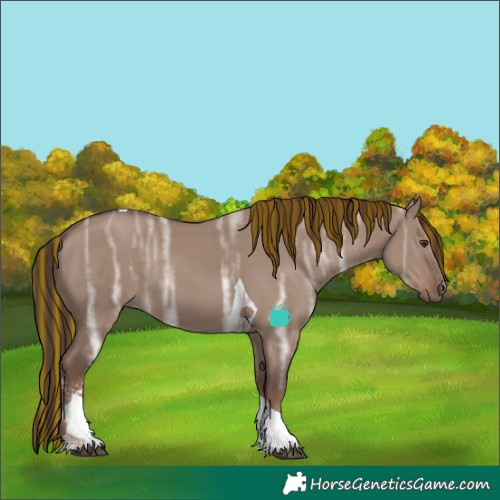 Horse Color:Painted Liver Red Dun Ice Sabino Tobiano Rabicano 