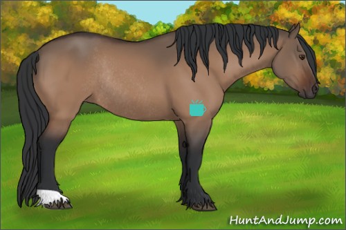 Horse Color:Brown Dun Rabicano 