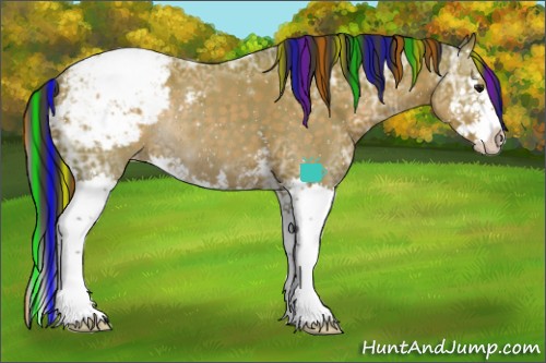 Horse Color:Painted White Spotted Buckskin Ice Sabino Splash Appaloosa Rabicano
