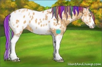 Horse Color:Painted Watercolor Sable Cream Champagne Ice Sabino Splash Near Leopard 