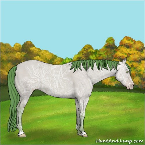 Horse Color:Watercolor Amber Champagne Ice Dun 
