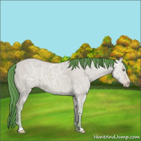 Horse Color:Watercolor Amber Champagne Ice Dun 