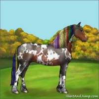 Horse Color:Painted White Spotted Brown 