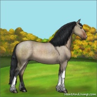 Horse Color:Brown Dun 