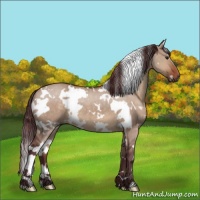 Horse Color:White Spotted Chocolate Brown Dun 