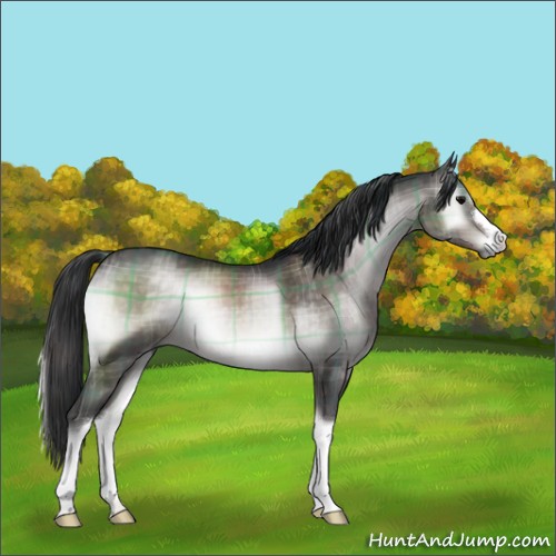 Horse Color:Platinum Plaid  Brown Onyx 