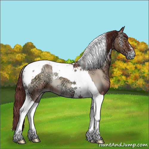 Horse Color:Chocolate Sable Champagne Ice Onyx Tobiano Appaloosa