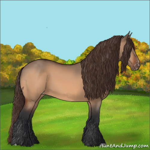 Horse Color:Brown Dun Varnish 