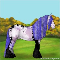 Horse Color:Watercolor Sable Champagne Ice Tobiano Varnish Rabicano 