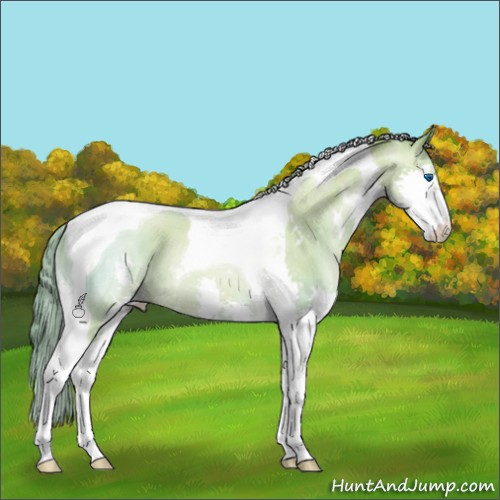 Horse Color:Watercolor Classic Champagne Pearl Splash Tobiano Rabicano 